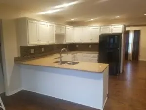 Kitchen cabinet interior painting