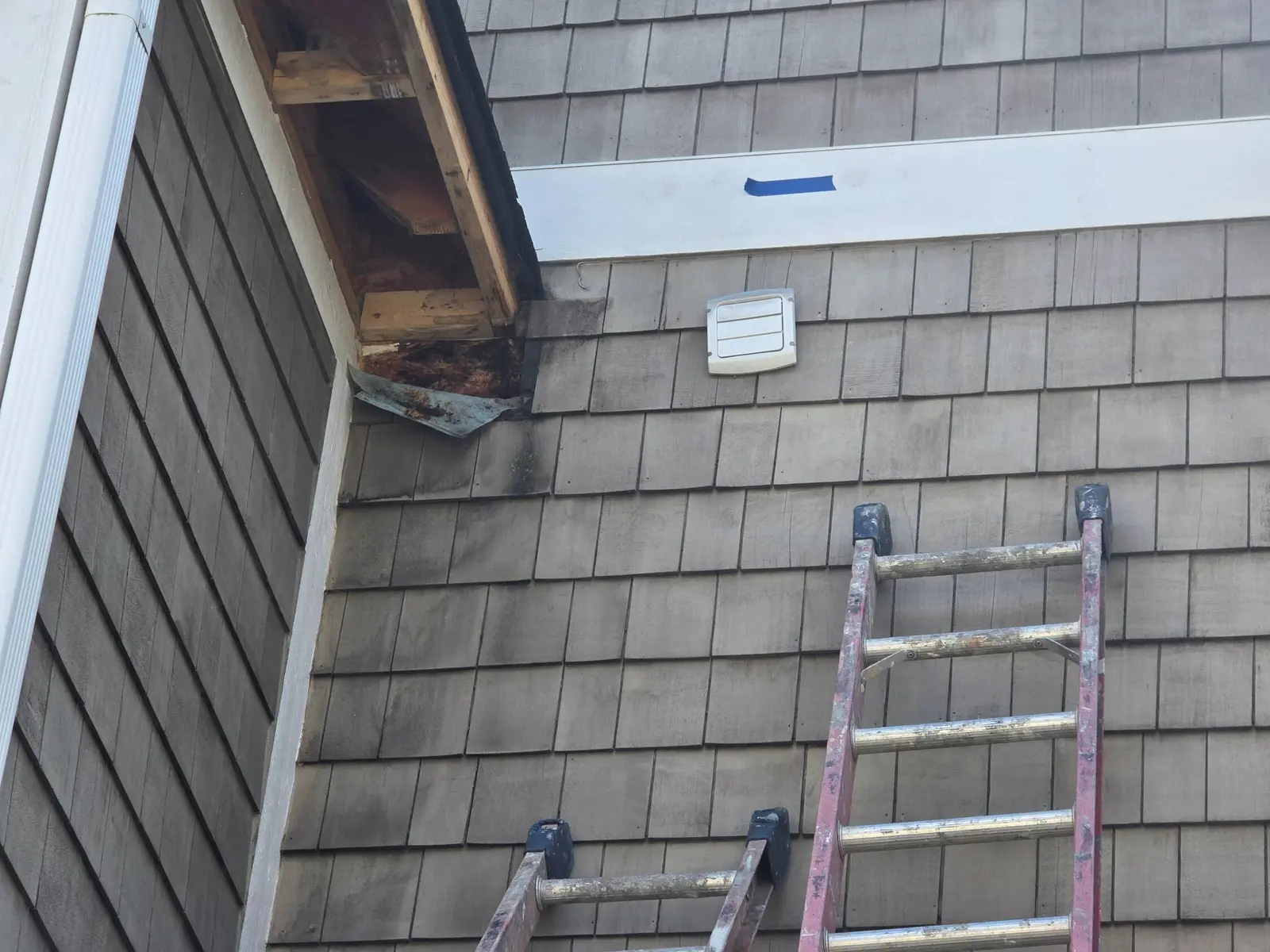 A close-up view of cedar shingle siding on a residential home showing localized damage near the roofline and trim. This type of inspection is a critical first step in our exterior painting and repair services in geist. Guy painting identifies areas where moisture or wood rot has compromised the siding, ensuring all structural repairs are completed before applying a fresh, protective coat of paint.