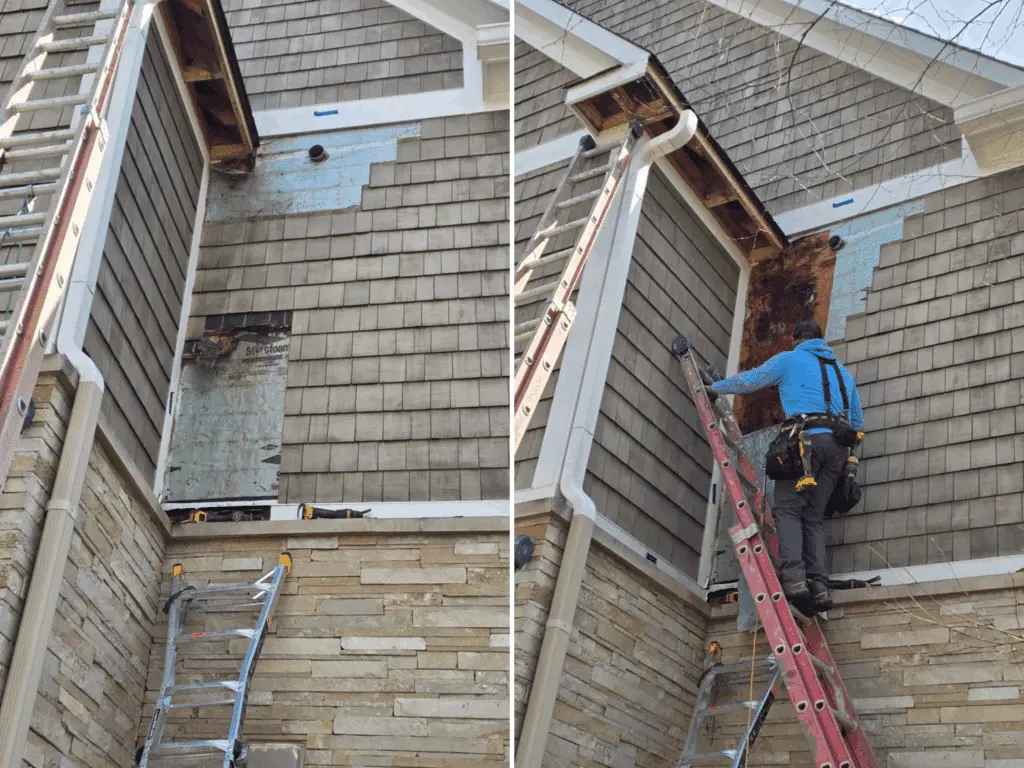 A two-panel progression showing a professional technician on a ladder performing detailed siding repairs on a residential home. As a leading home painter exterior specialist in geist, guy painting addresses underlying issues like wood rot and damaged cedar shingles before applying a fresh finish. This comprehensive approach ensures that the home's structure is sound and the new paint job provides long-lasting protection.