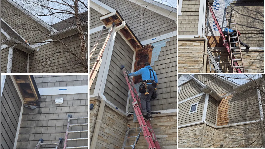 A multi-panel collage showcasing a detailed residential siding restoration project. This project highlights the extensive exterior painting and repair services provided in geist. Guy painting manages every stage of the process, from identifying damaged cedar shingles and installing protective weather barriers to final shingle replacement and finishing. This thorough approach ensures the structural integrity and aesthetic beauty of local residential properties.